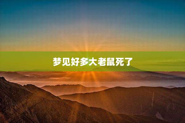 梦见好多大老鼠死了