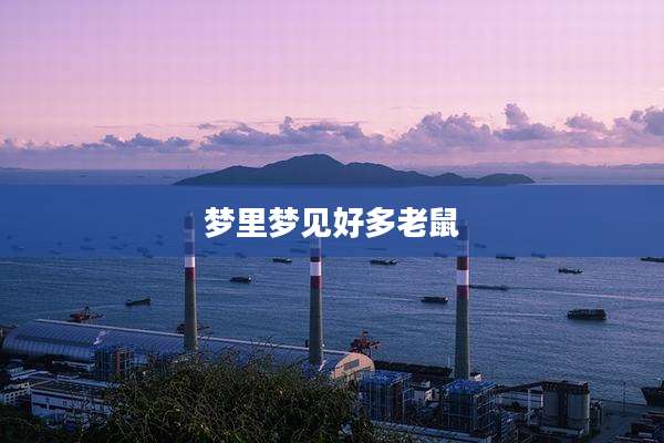 梦里梦见好多老鼠