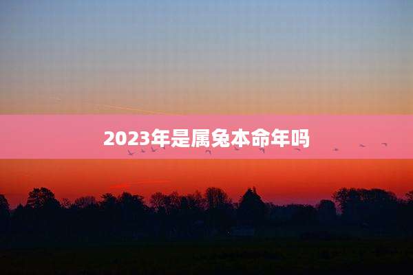 2023年是属兔本命年吗