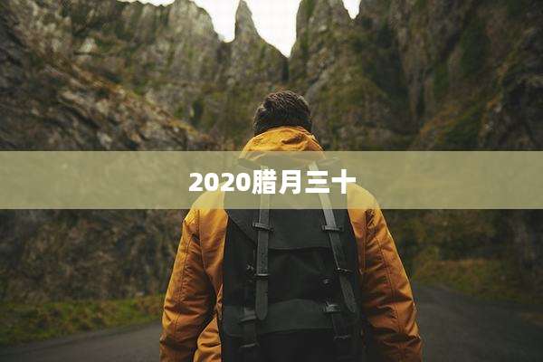 2020腊月三十
