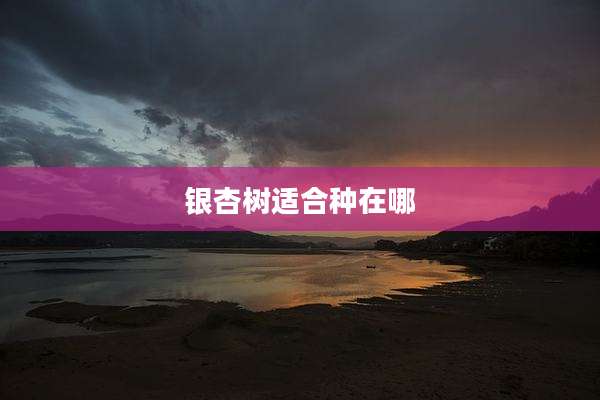 银杏树适合种在哪