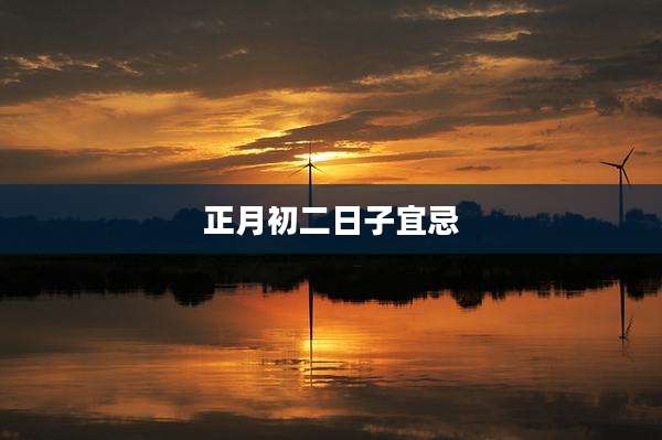 正月初二日子宜忌
