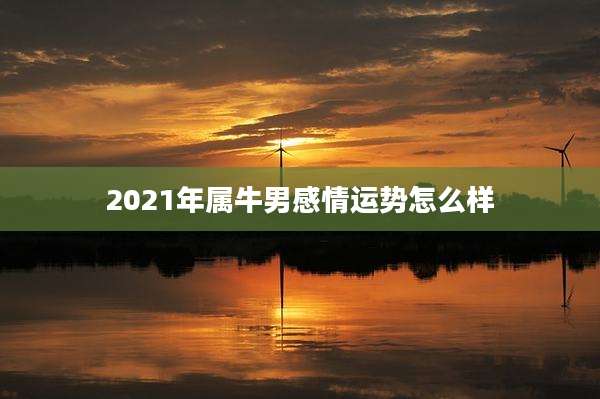 2021年属牛男感情运势怎么样