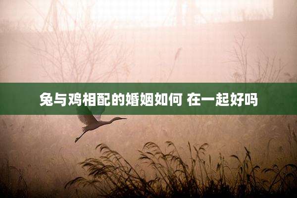 兔与鸡相配的婚姻如何 在一起好吗