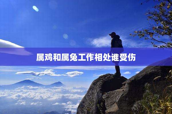 属鸡和属兔工作相处谁受伤