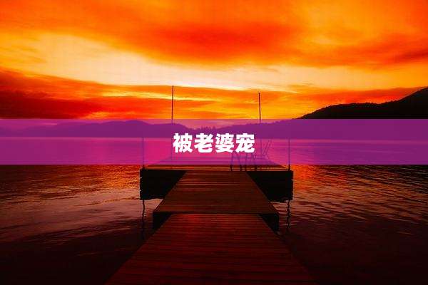 被老婆宠