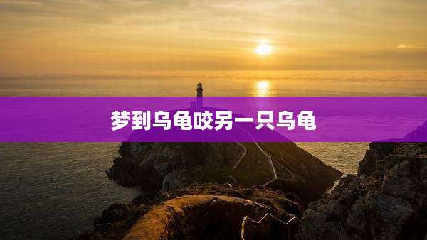 梦到乌龟咬另一只乌龟