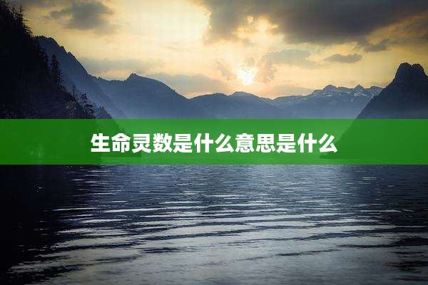 生命灵数是什么意思是什么