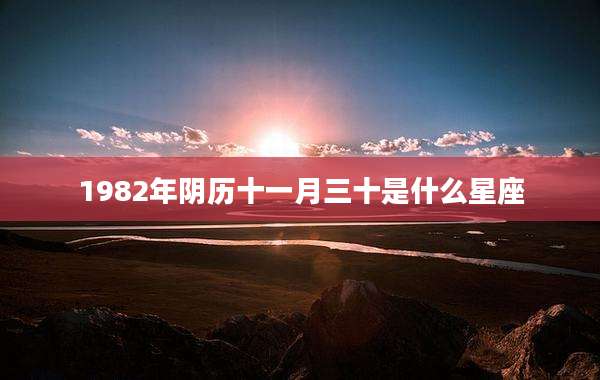 1982年阴历十一月三十是什么星座