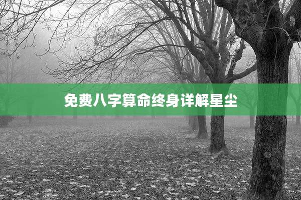 免费八字算命终身详解星尘