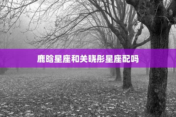 鹿晗星座和关晓彤星座配吗