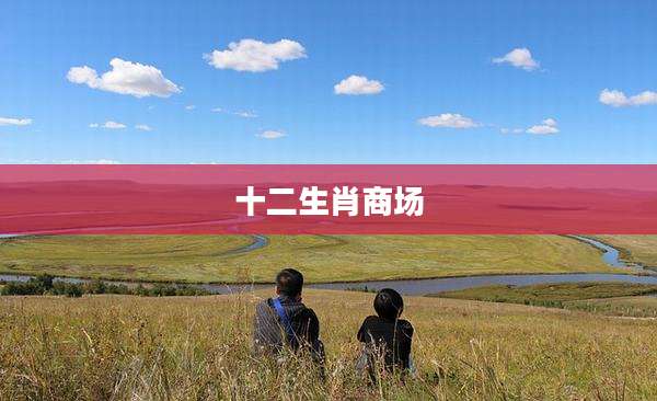 十二生肖商场
