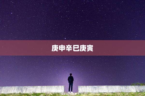 庚申辛巳庚寅