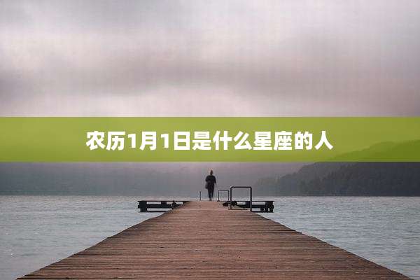 农历1月1日是什么星座的人