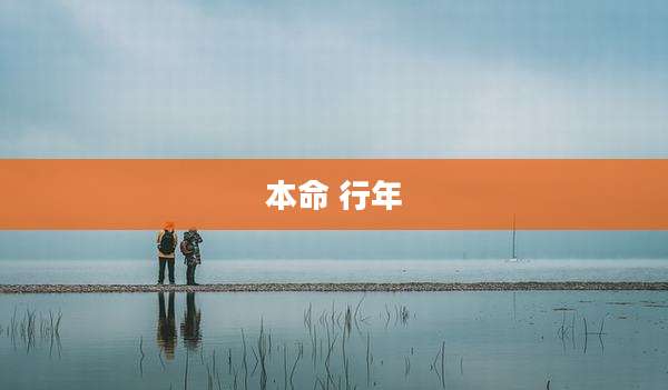 本命 行年