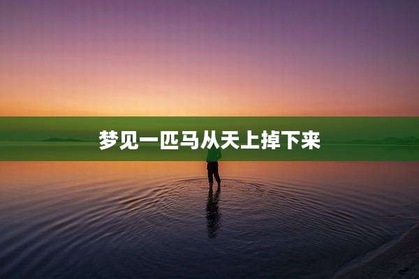 梦见一匹马从天上掉下来