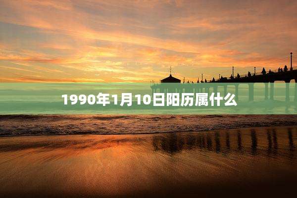 1990年1月10日阳历属什么