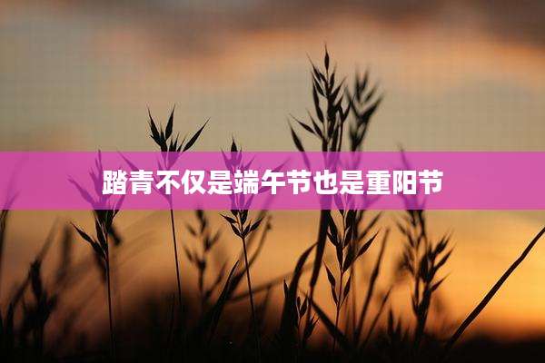 踏青不仅是端午节也是重阳节