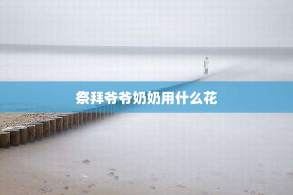 祭拜爷爷奶奶用什么花