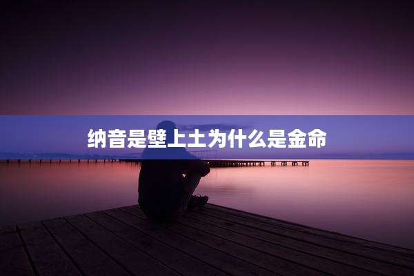 纳音是壁上土为什么是金命