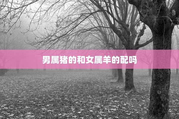 男属猪的和女属羊的配吗