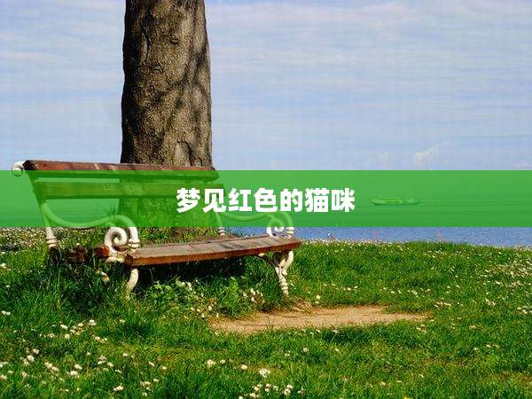 梦见红色的猫咪
