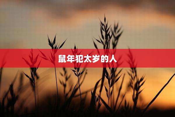 鼠年犯太岁的人