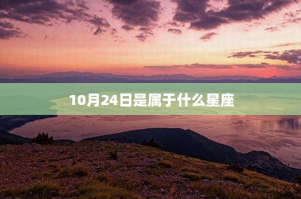 10月24日是属于什么星座