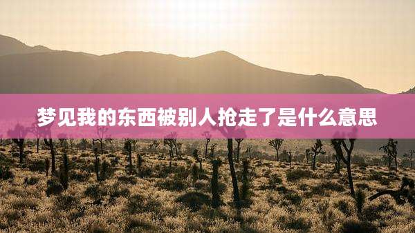 梦见我的东西被别人抢走了是什么意思