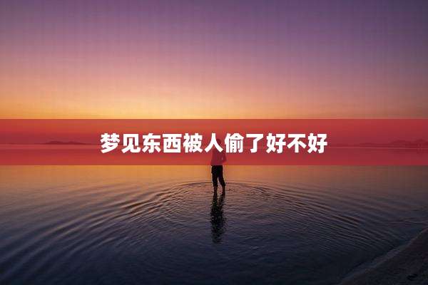 梦见东西被人偷了好不好