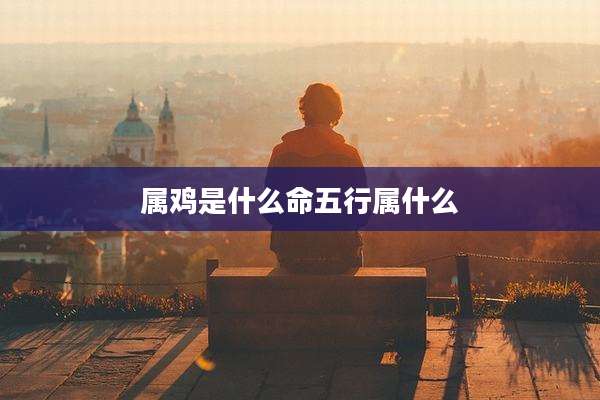 属鸡是什么命五行属什么