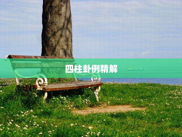 四柱卦例精解