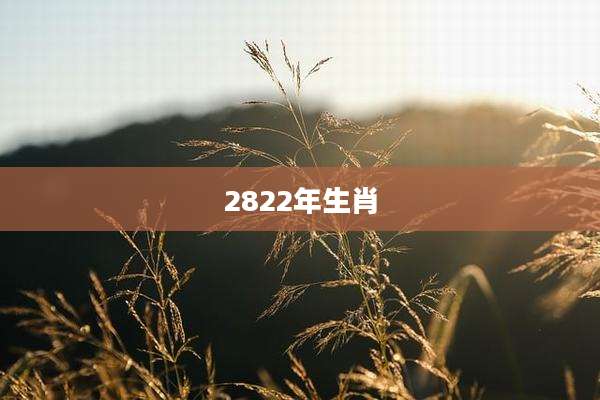 2822年生肖
