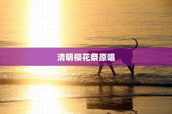 清明樱花祭原唱