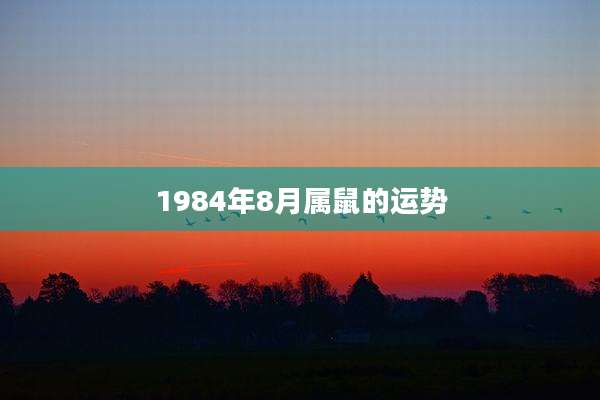 1984年8月属鼠的运势