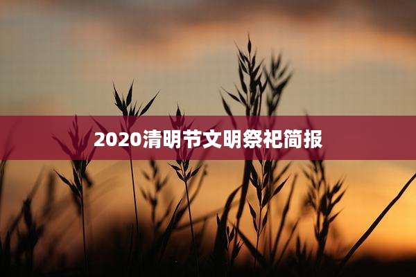 2020清明节文明祭祀简报