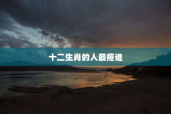 十二生肖的人最疼谁