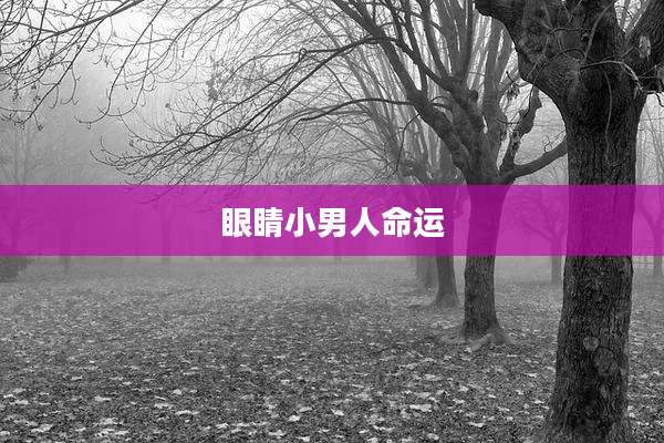 眼睛小男人命运