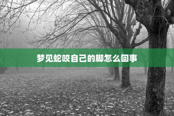 梦见蛇咬自己的脚怎么回事