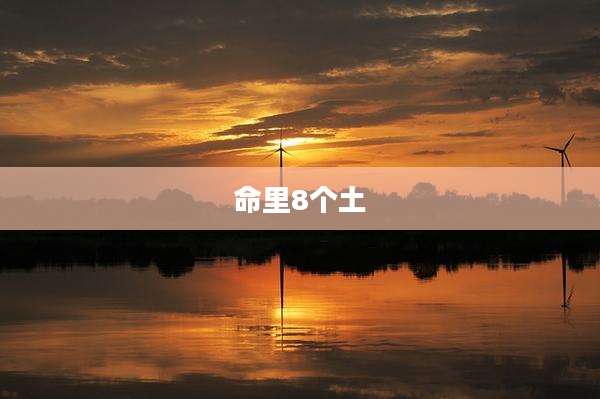 命里8个土