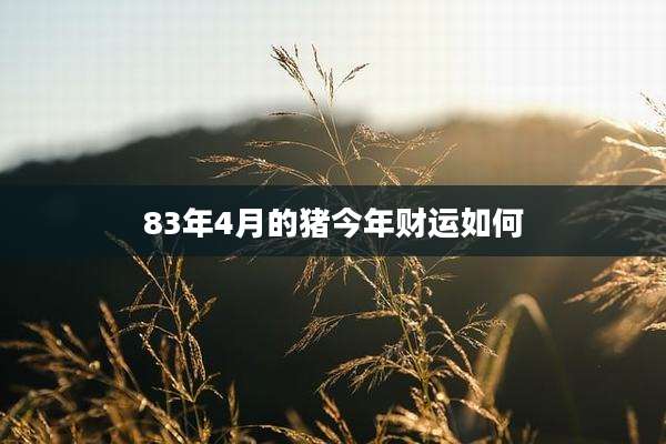 83年4月的猪今年财运如何