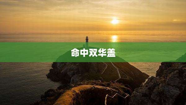 命中双华盖