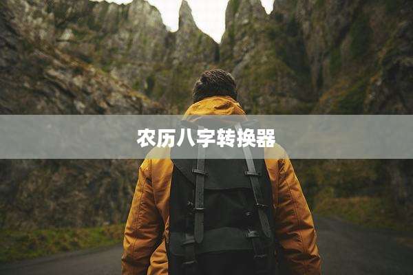 农历八字转换器