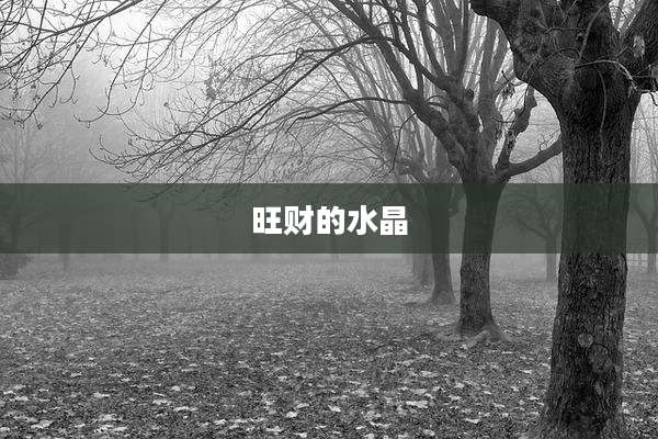 旺财的水晶