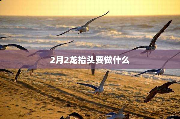 2月2龙抬头要做什么