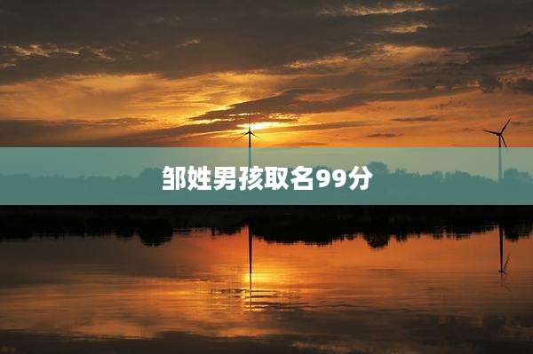 邹姓男孩取名99分