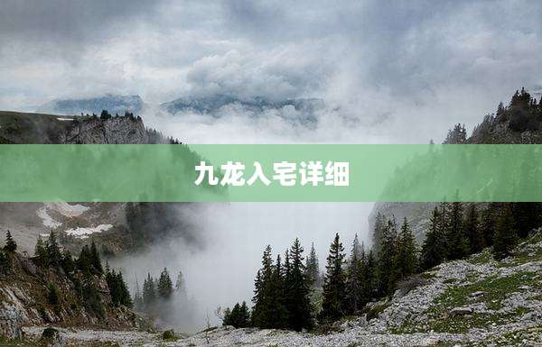 九龙入宅详细