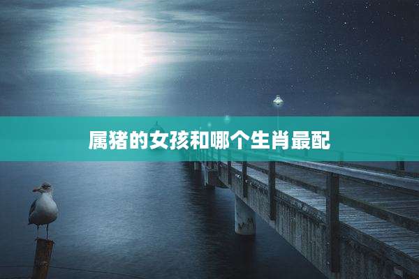 属猪的女孩和哪个生肖最配