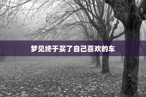 梦见终于买了自己喜欢的车