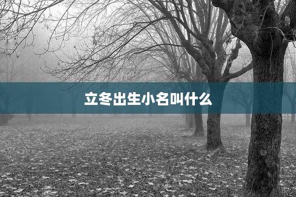 立冬出生小名叫什么